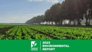 Environmental brochure 2023